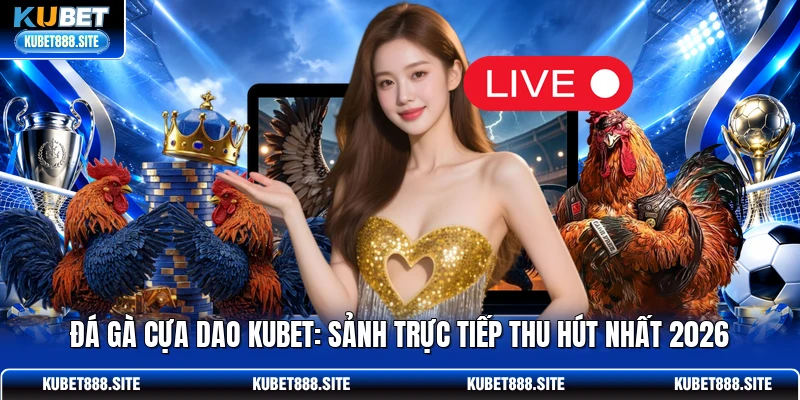 Đá Gà Cựa Dao KUBET: Sảnh Trực Tiếp Thu Hút Nhất 2026