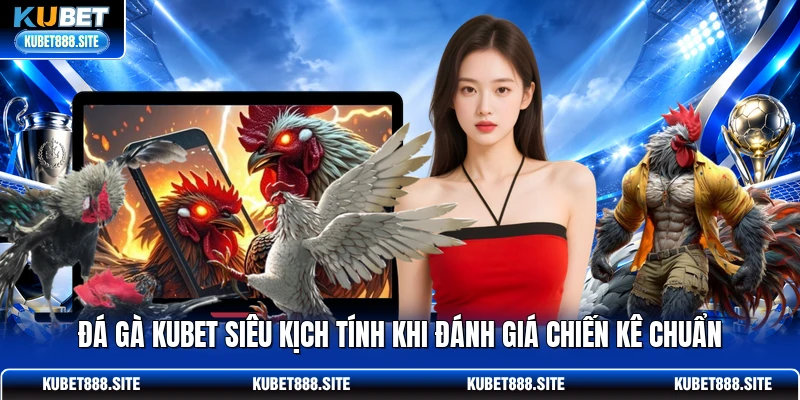 Đá gà KUBET siêu kịch tính khi đánh giá chiến kê chuẩn Đá gà KUBET siêu kịch tính khi đánh giá chiến kê chuẩn