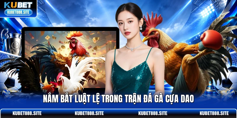 Nắm bắt luật lệ trong trận đá gà cựa dao