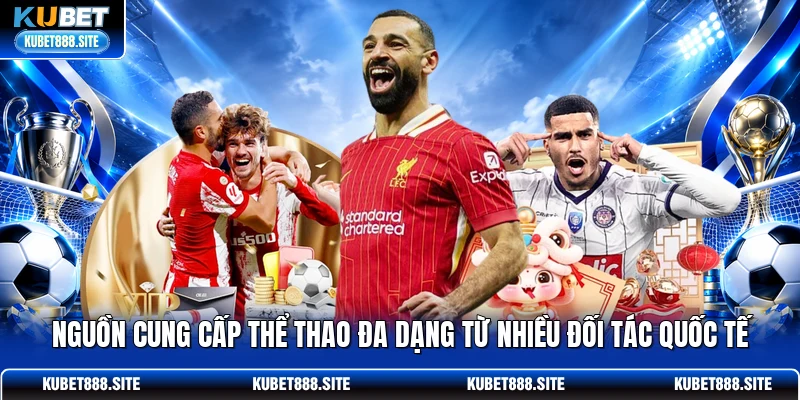 Nguồn cung cấp thể thao đa dạng từ nhiều đối tác quốc tế