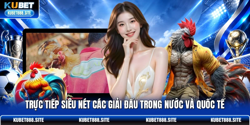 Trực tiếp siêu nét các giải đấu trong nước và quốc tế Trực tiếp siêu nét các giải đấu trong nước và quốc tế